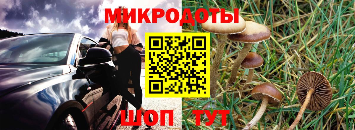 Зеленогорск  Галлюциногенные грибы MAGIC MUSHROOMS  Вход с VPN 