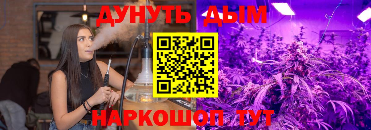 Канабис сатива  Вход с VPN  Каннабис Ganja  Конопля сатива  Зеленогорск 